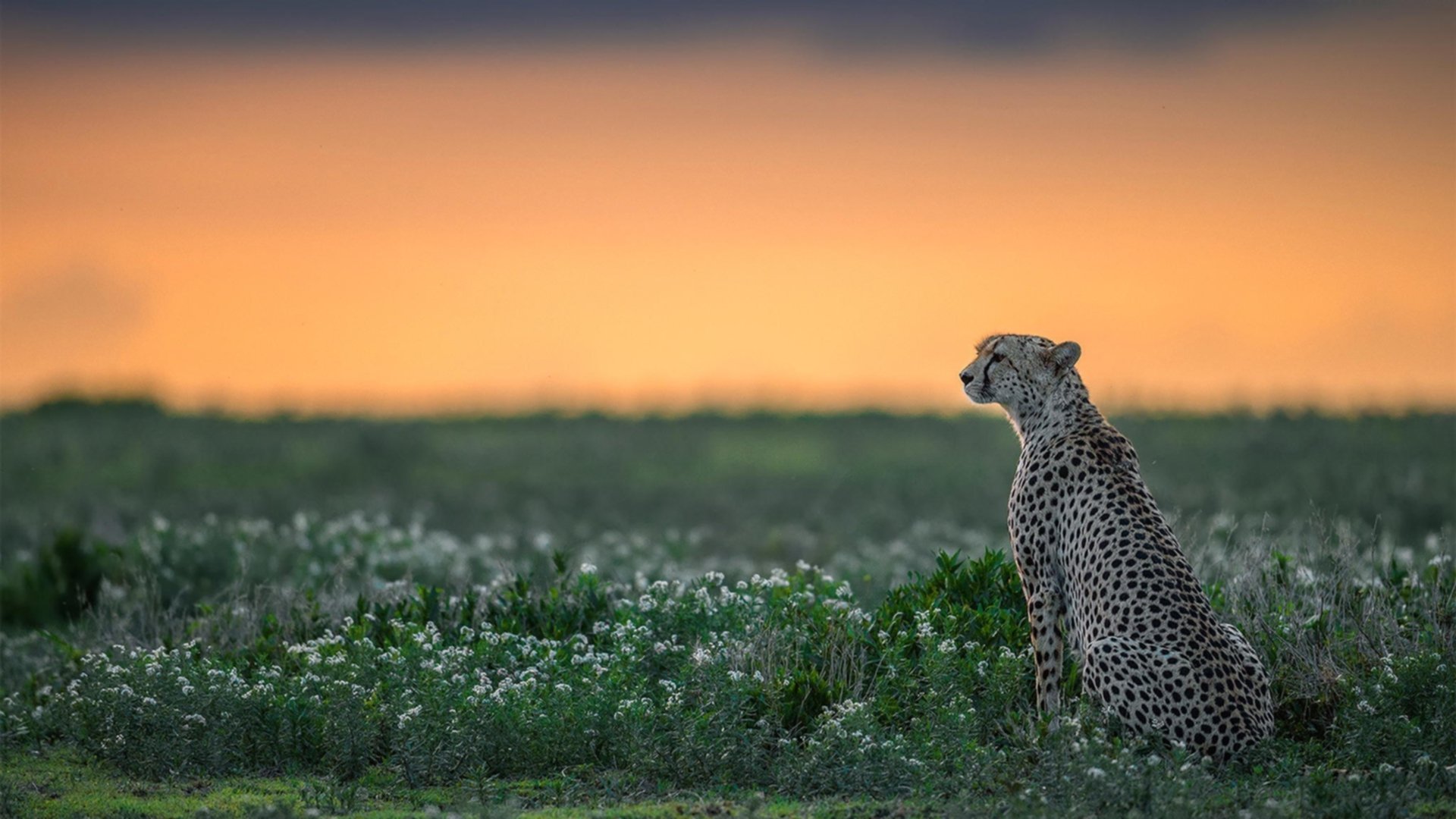 开云官方网站-_未来运动科技体验馆：开启极致运动新视界_，未来运动体育