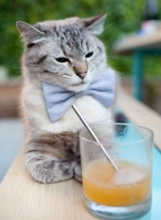 kaiyun官方入口登录-_极光滑雪大赛：在彩色光辉中驰骋_，滑雪看极光