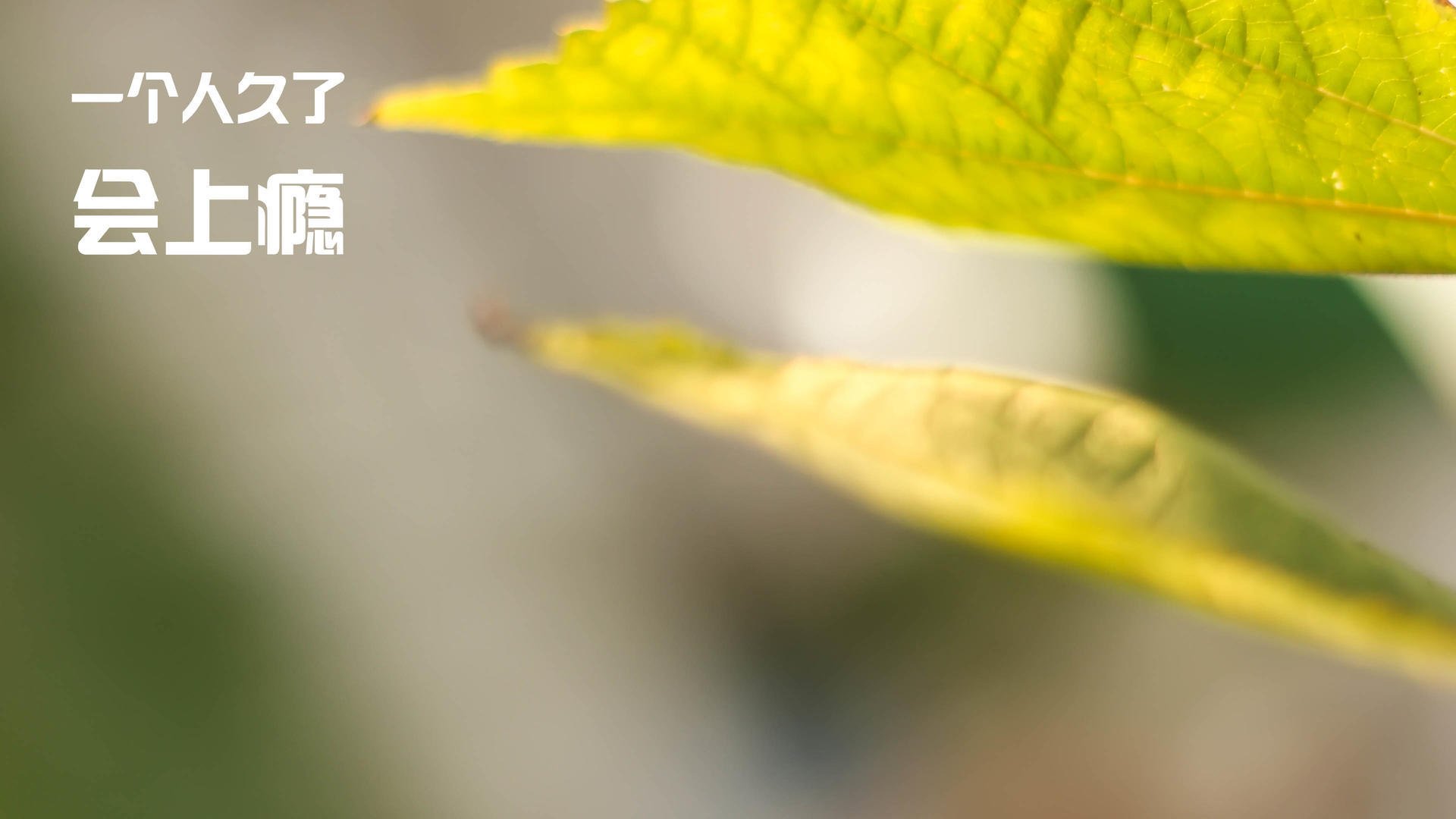 _气排球运动:室内外皆可享受的趣味运动_,气排球运动规则