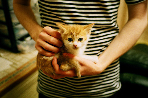 kaiyun体育app-_法网决赛：激烈角逐白热化，谁将夺冠？_，法网决赛视频2021