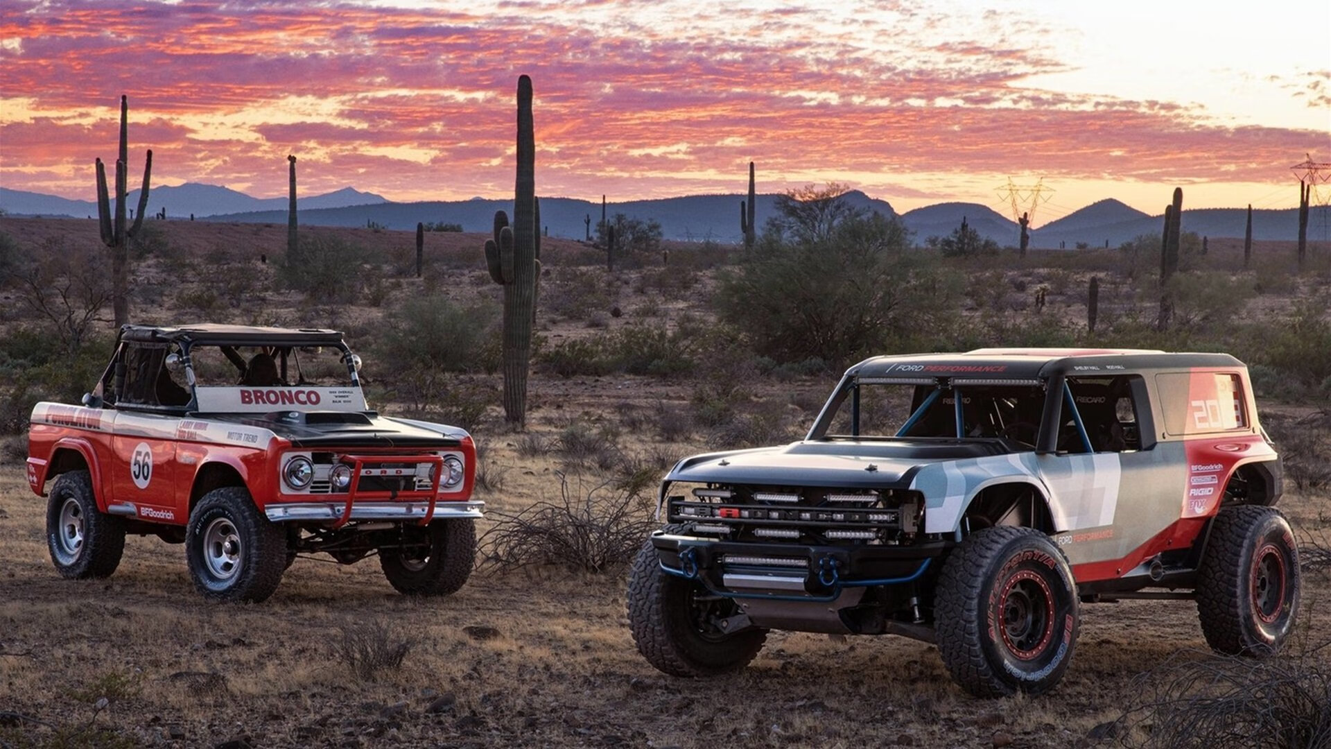 _生态自行车园：绿色出行与自然亲密接触_，生态园自助餐厅怎么样