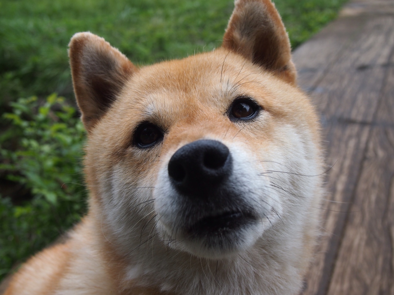 KAIYUN 中国大陆-_青少年运动会：培养未来体育明星_，青少年体育运动员