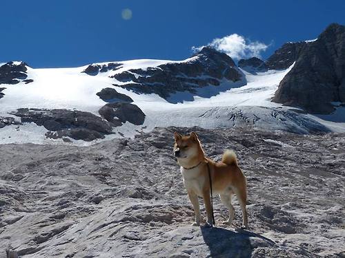 “青春之光”青少年篮球公益电影在全国院线上映，弘扬励志正能量