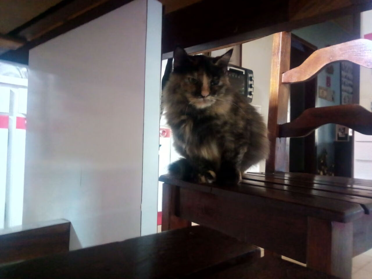 《王者荣耀精英战队，总决赛火爆开战》，王者荣耀战队 精英