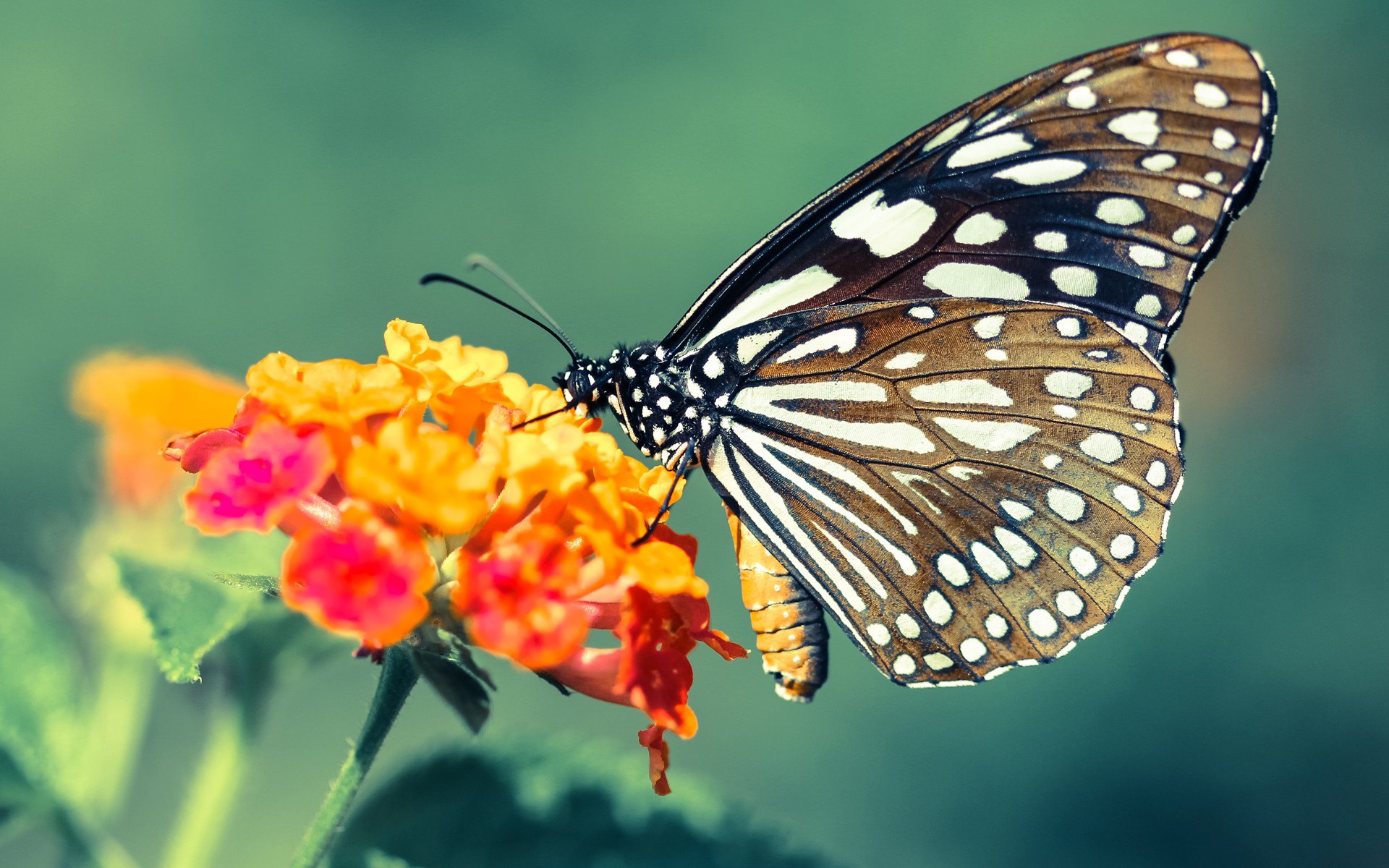 kaiyun体育综合-中国高水平青年篮球比赛全面升级，全方位展现青年风采，2021年全国青年篮球联赛