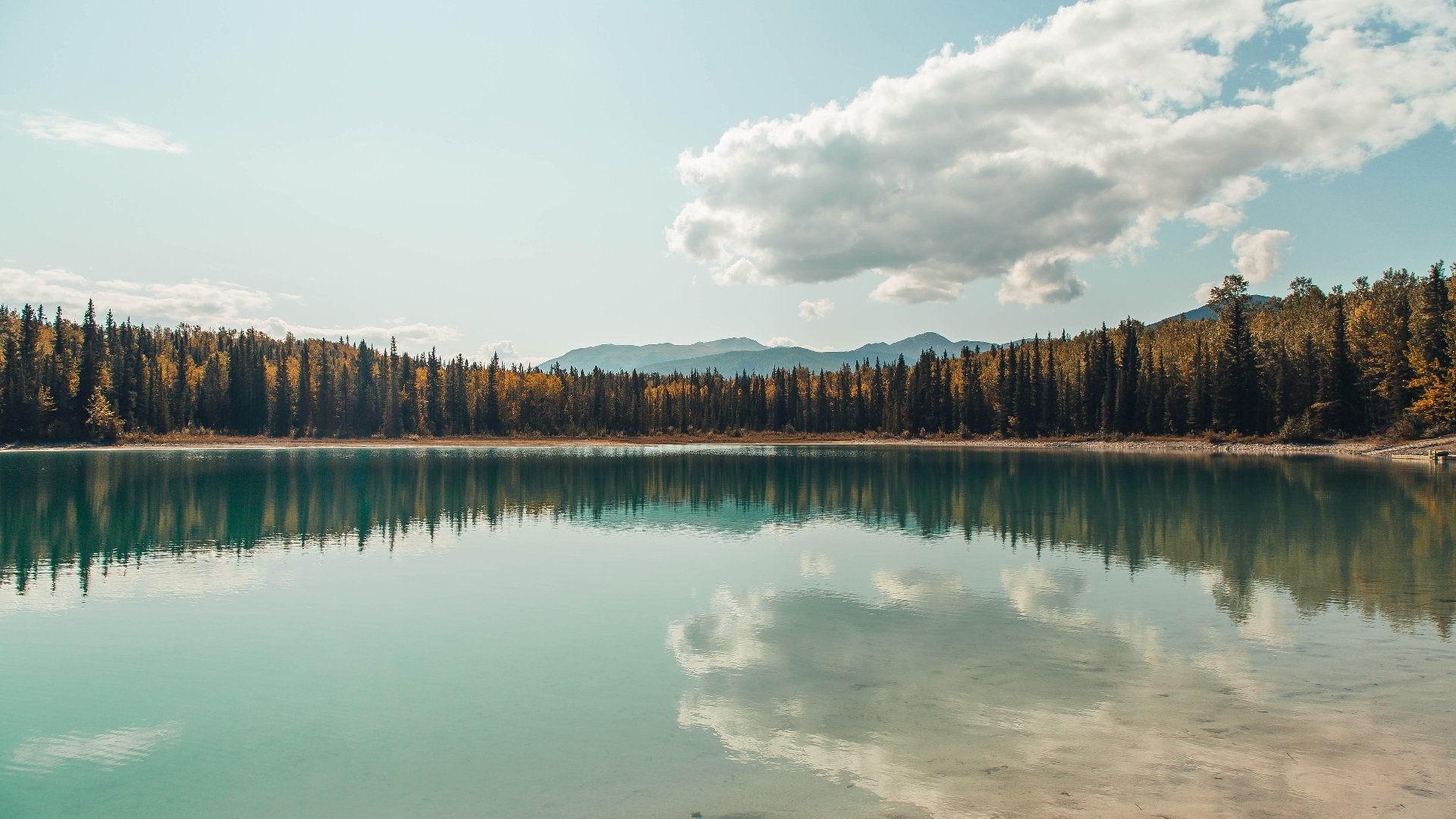 开云平台-以“足球+文化”推动城市文化建设，打造城市新名片，足球文化主题绘画