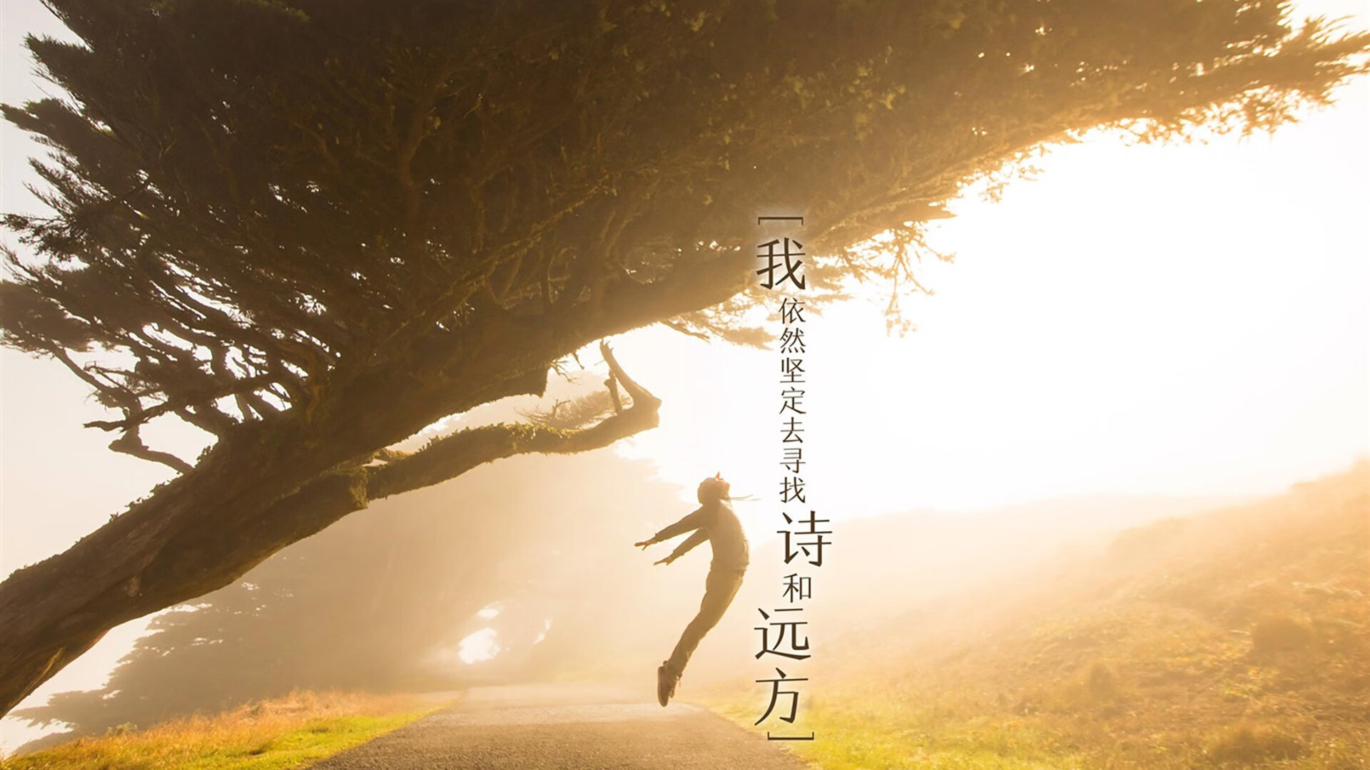 开云·体育官网-光明记忆“冒险之旅”线上对抗赛激战正酣，光明冒险礼包码