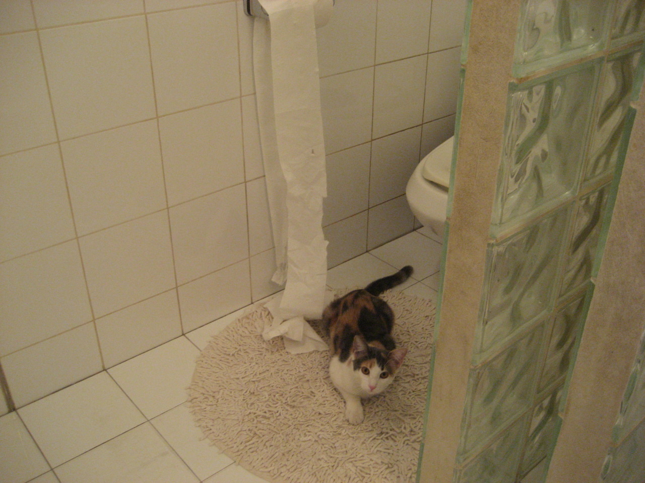 开云·体育官网APP下载-热刺签下一名世界知名前锋，争夺联赛冠军，热刺排第几