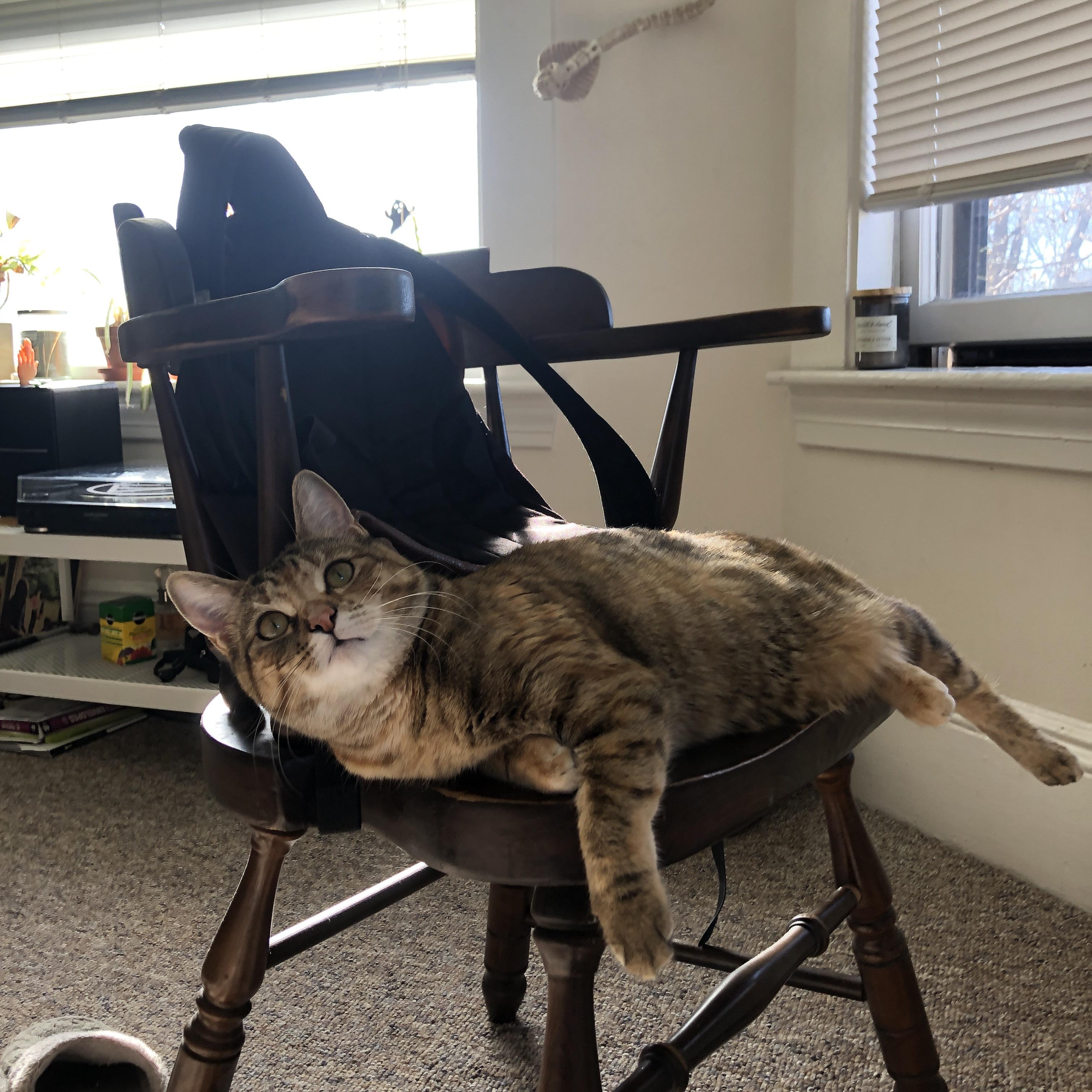 开云·体育官网-青少年“篮球梦想”公益助学在云南持续进行，助推边远地区青训