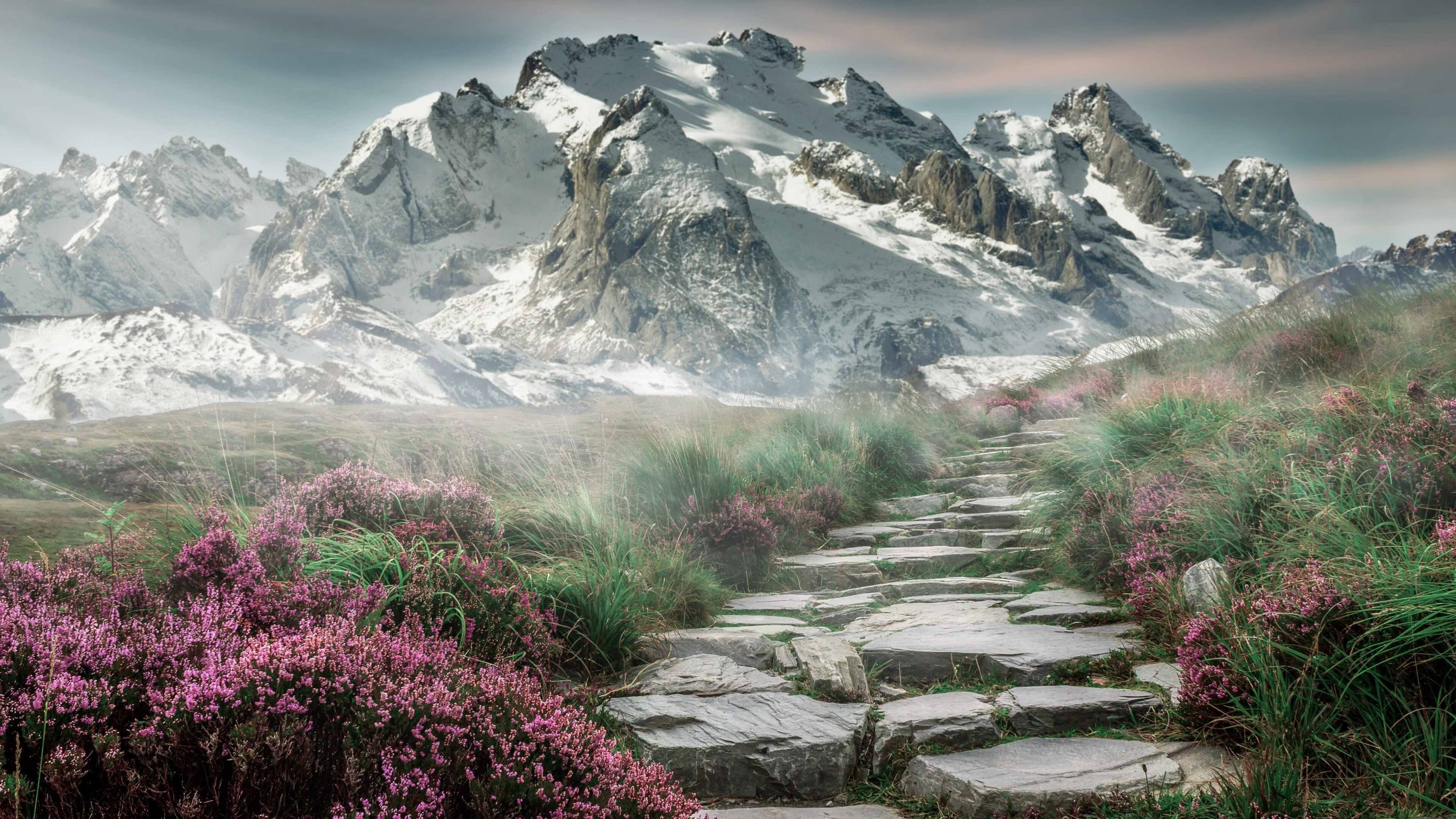 Kaiyun APP-中超引援门槛是否应与国家队发展同步考虑，中超引援调节费规则