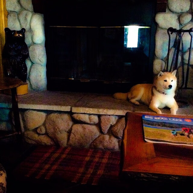 巴萨在欧冠决赛中2-0战胜多特蒙德，夺得第六座欧冠奖杯，巴萨欧冠夺冠视频