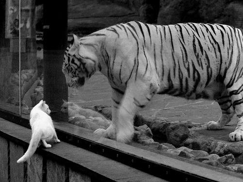 开云入口-广东宏远球队赛季目标坚定，广东宏远新赛季球衣