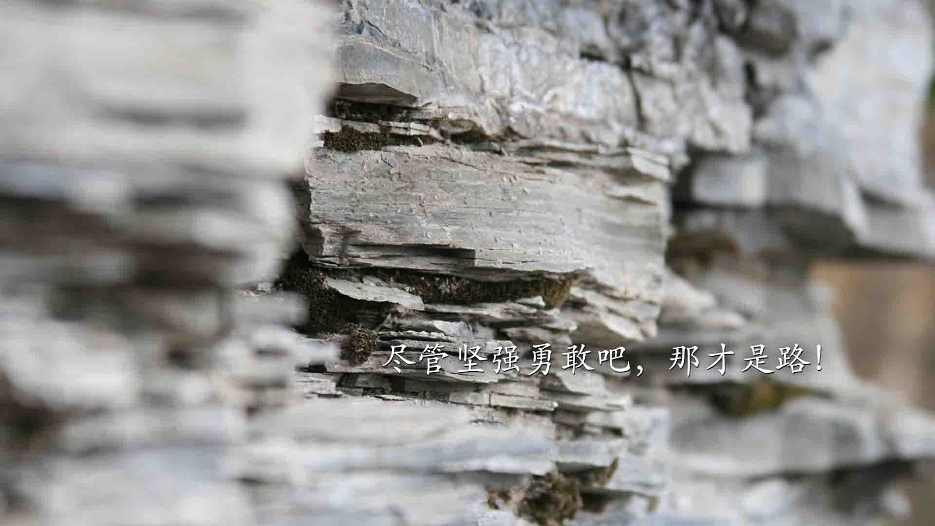 开云官网-精彩瞬间频现，球员们在场上展现出色表现，球赛精彩瞬间