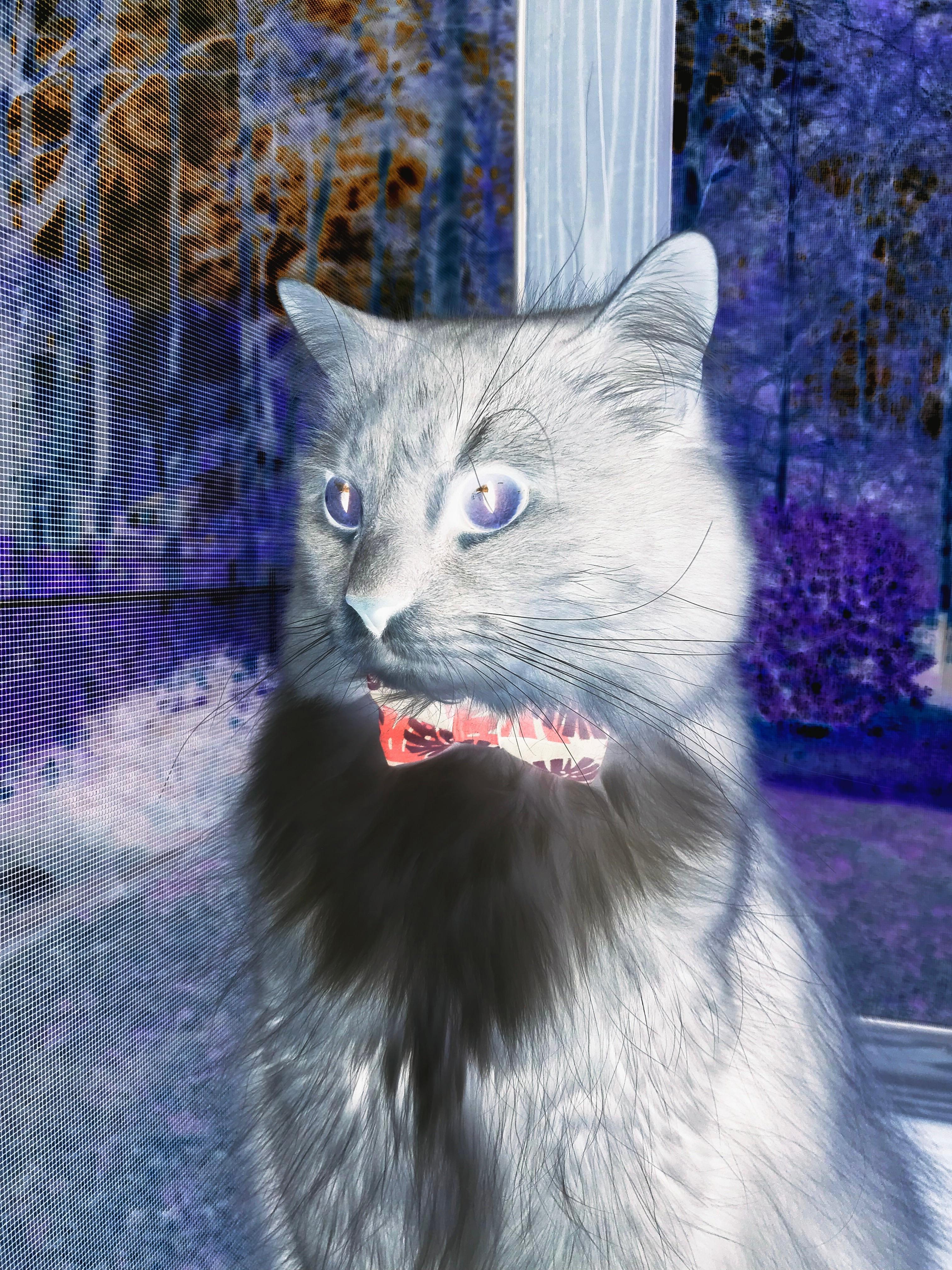 开云中国-美洲球队发起慈善活动，传递正能量，美洲篮球俱乐部友谊赛