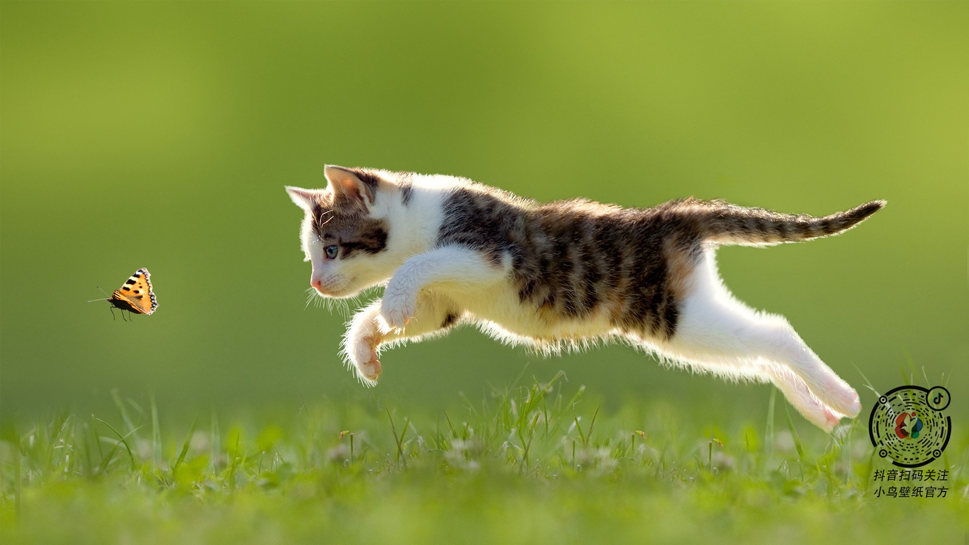 kaiyun官方入口登录-联赛关键战，球员表现出色压哨绝杀，nba压哨绝杀规则