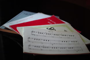 kaiyun开云·官方网站-中小学体育课程内容优化实践，中小学体育课程一体化研究