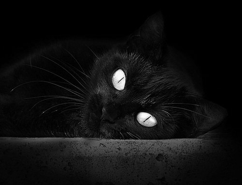 中小学体育课程内容优化实践，中小学体育课程一体化研究