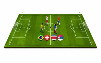 开云官方-青少年体育运动安全保障体系构建与应用研究，青少年体育工作