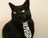 中国男篮提升传导速度应对高强度防守，中国男篮传奇球员