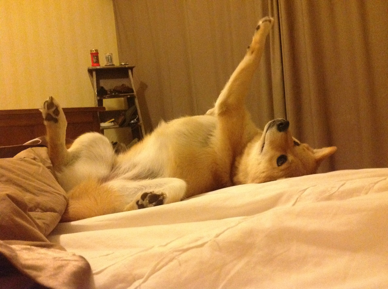 中场断球与反击速度体现教练风格差异化痕迹，篮球中断球是什么意思