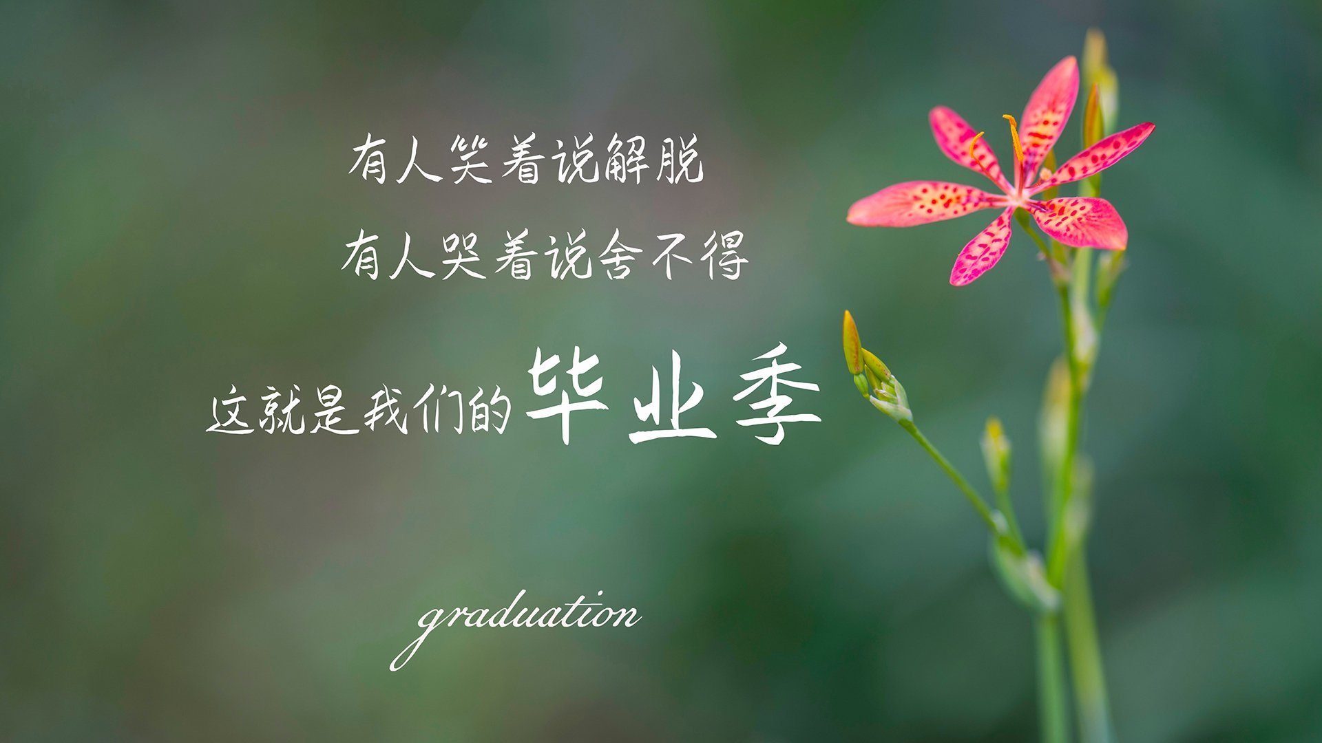 体育新闻中心参与体育数据资产保护法律框架建设，体育数据库和信息平台