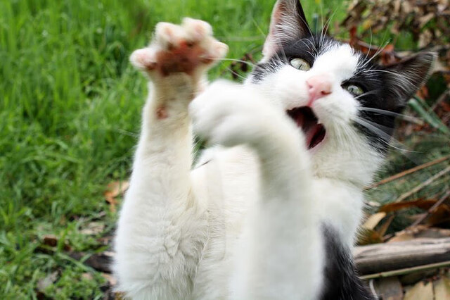 奥预赛U23国足迎战 球员心理承压明显,u23国足比赛时间