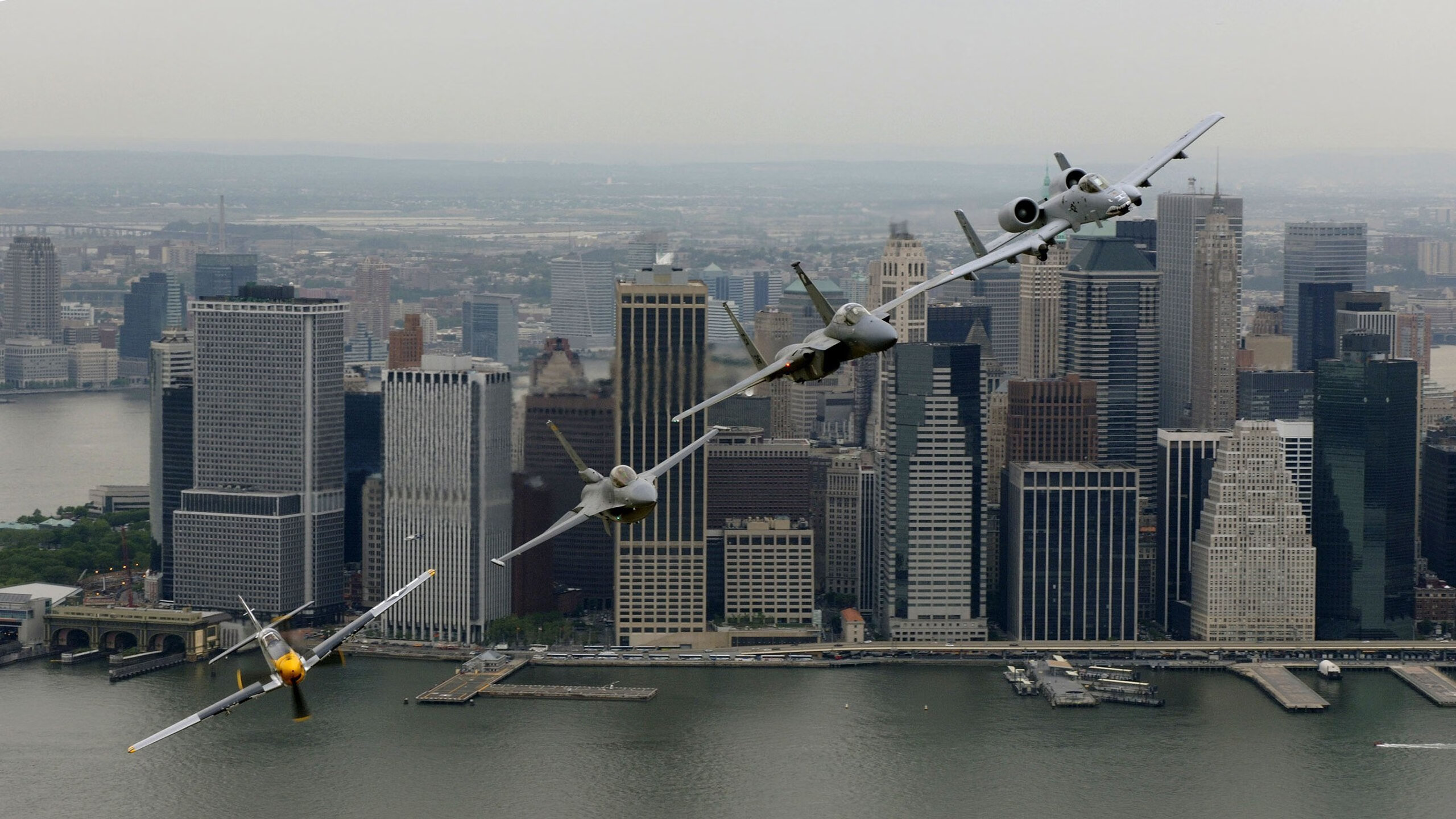 kaiyun开云·官方网站-辽宁飞豹季后赛豪取多场大胜实力强劲，辽宁飞豹现役球员