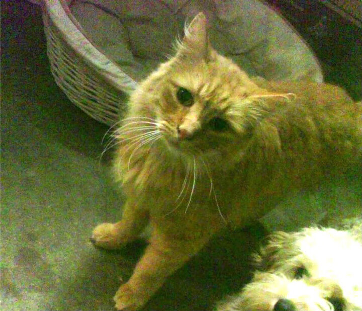 乔治坦言球场沟通是决定比赛胜负关键