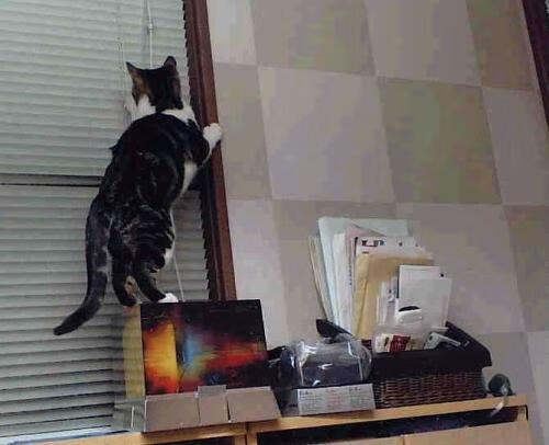 kaiyun.com-体育新闻中心通报全国体育基础设施改造进展，体育基础设施建设包括哪些