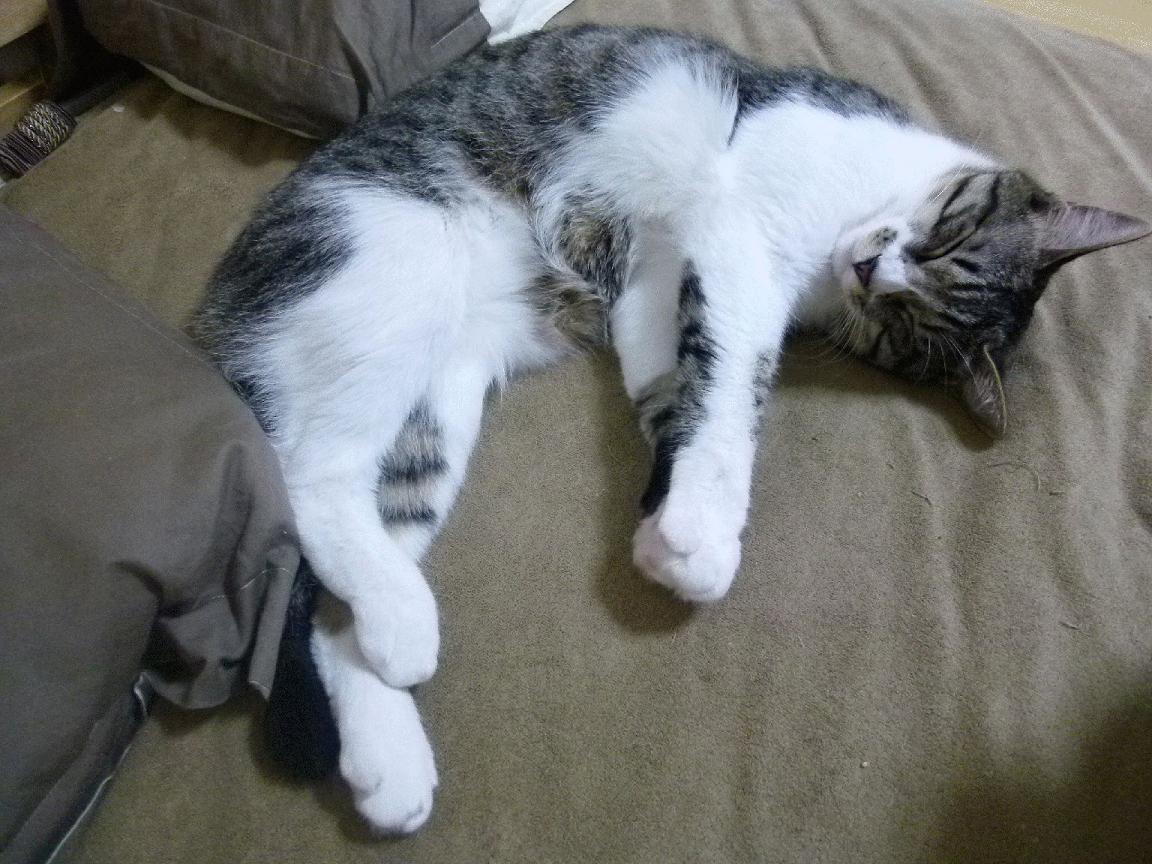 KAIYUN 中国大陆-皇马青训不断创新，未来阵容令人期待