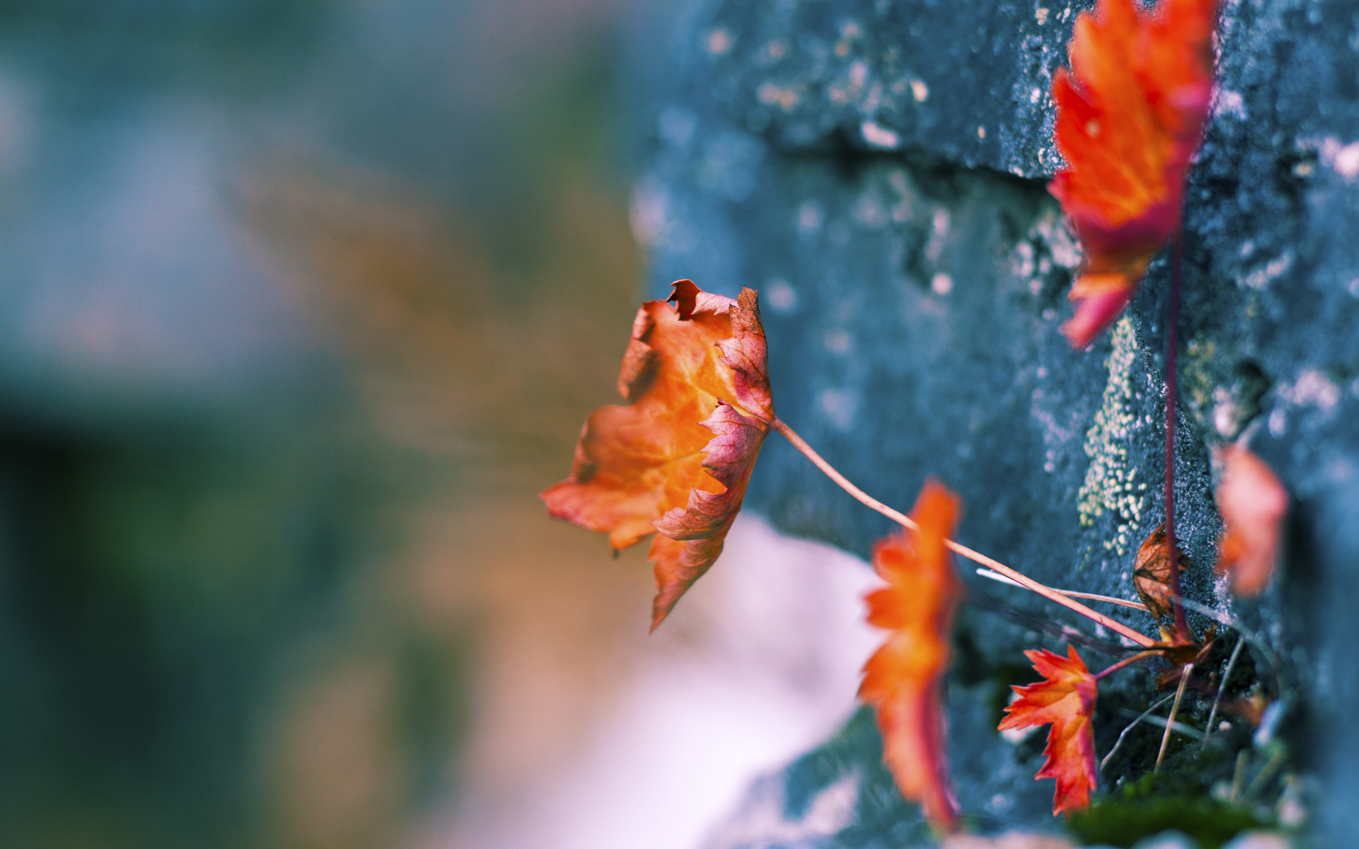 kaiyun官方入口登录-美洲杯明星开挂：个人突破助队翻身！，美洲杯谁出线了