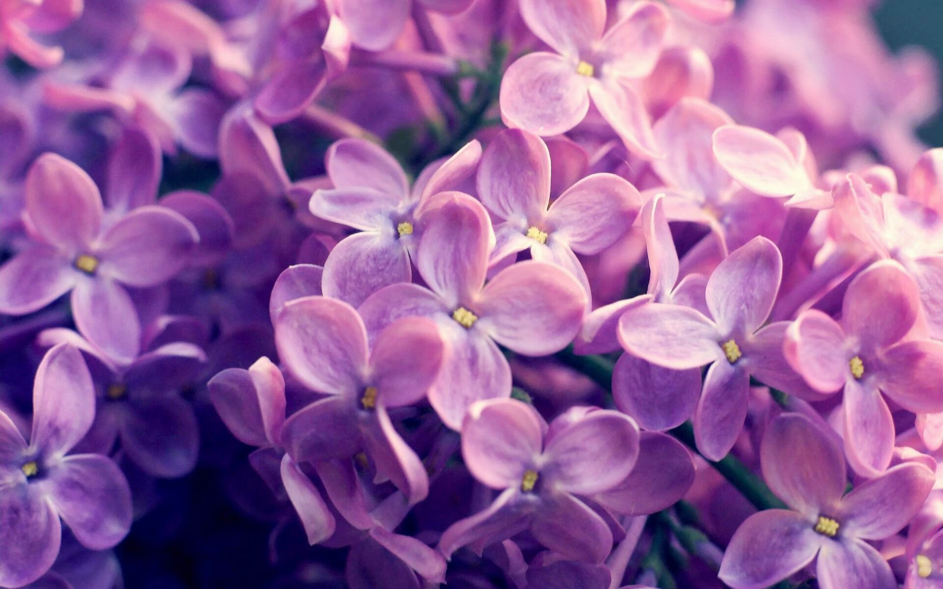 英超激烈角逐,豪门之间拼抢不断