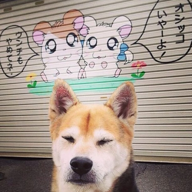 开云·体育官网-赛事转播体验全面升级，赛事转播是什么意思