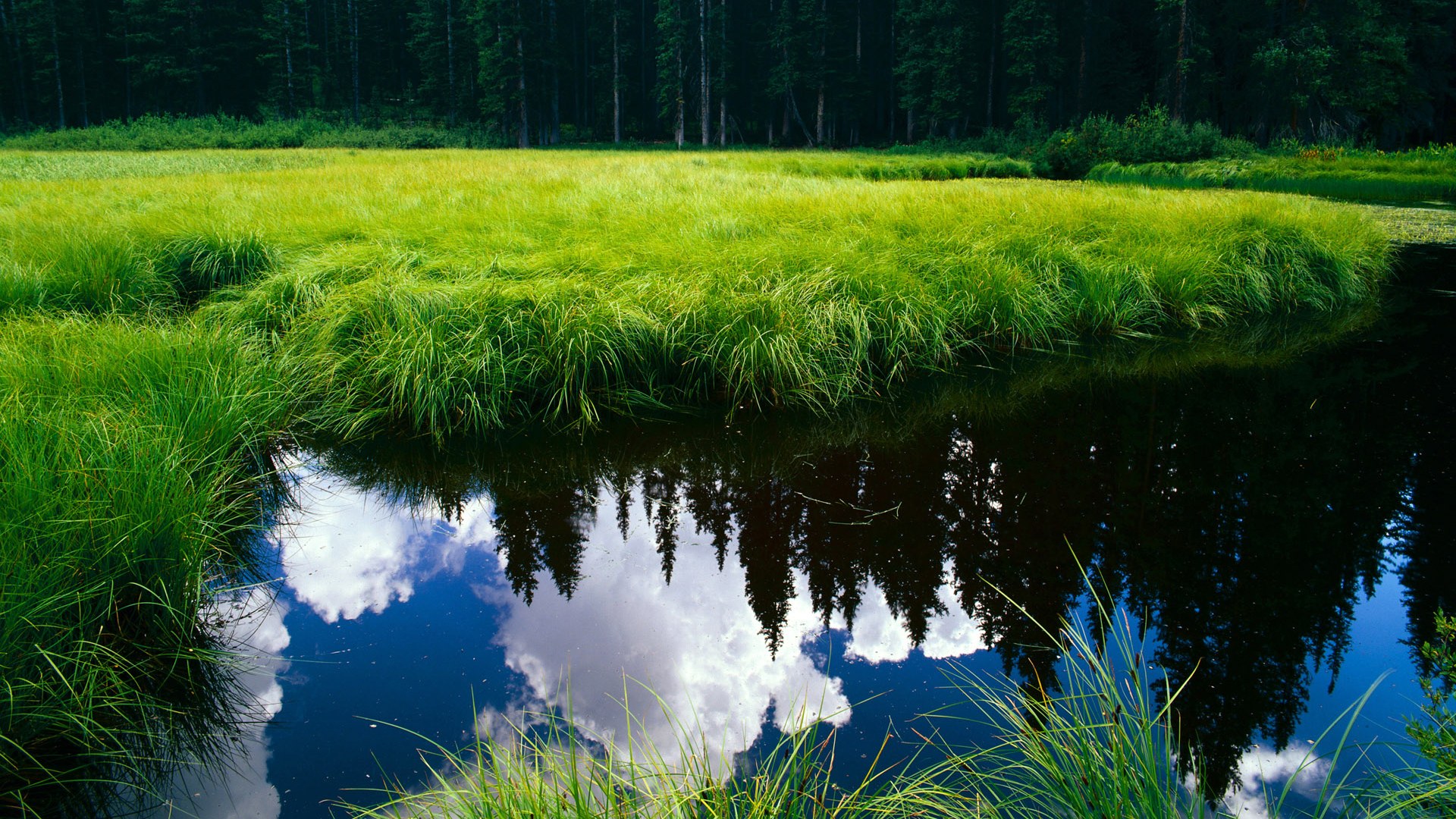 开云体育APP下载-青训教练集中轮训机制实施提升整体教学水平，教练员轮训